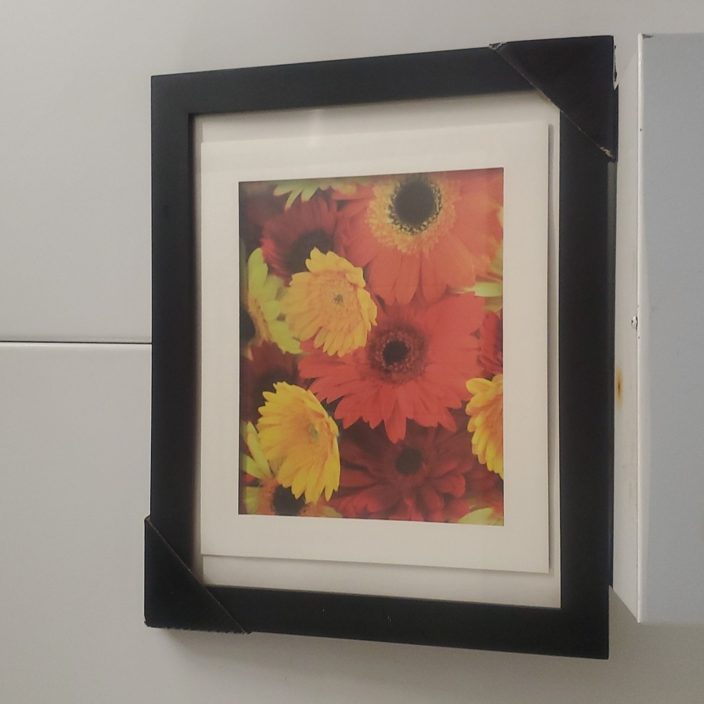 Colorful Daisy Red Yellow floral print matted & framed, approximately 13"x16"